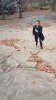 IMG-20171207-WA0004.jpg