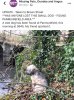 6DF32321-10BF-48C9-99FA-194E8C0472C3.jpeg