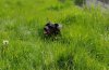 IMG_20190515_124159_Bokeh.jpg