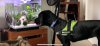 B35E3D97-D2FF-4577-BFF5-0E7909E15906.jpeg