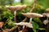 rsz_img_4447.jpg