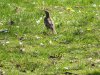 DSC02595.JPG