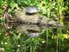 DSC02554.JPG