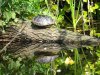 DSC02555.JPG