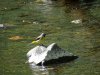 DSC02579.JPG