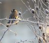 IMG_20210112_131904.jpg