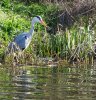 IMG_20210410_100404.jpg