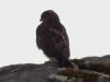 upload_2021-4-12_20-46-57.jpeg