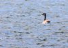rsz_img_5131.jpg