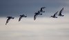 rsz_img_5042.jpg