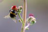 rsz_img_5653.jpg