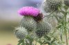 rsz_1img_6822.jpg