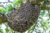 rsz_20220621-img_8993.jpg