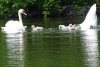 IMG_20220626_082445.jpg