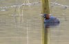 rsz_20230319-4s1a5486-edit-edit.jpg
