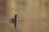 rsz_20230326-4s1a5962-edit.jpg