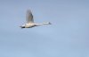 rsz_20230326-4s1a6069-edit.jpg