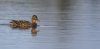 rsz_20230326-4s1a5970-edit.jpg