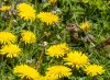 rsz_20230414-4s1a7785-edit.jpg