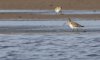 rsz_20230415-4s1a8058-edit.jpg