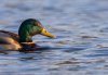 rsz_20230418-4s1a8462-edit.jpg