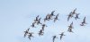 rsz_20230424-4s1a9101-edit.jpg