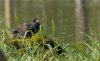 rsz_20230513-4s1a0680-edit.jpg