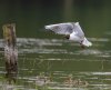 rsz_20230520-4s1a1025-edit.jpg