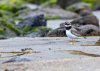 rsz_20230528-4s1a1568-edit.jpg
