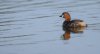 rsz_20230527-4s1a1320-edit.jpg