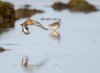 rsz_20230923-4s1a7797-edit.jpg