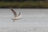 rsz_20230923-4s1a7425-edit.jpg