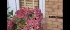 IMG-20230929-WA0002.jpg