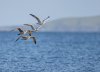rsz_20231001-4s1a8037-edit.jpg