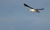 rsz_20231015-4s1a9058-edit.jpg