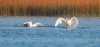 rsz_20231022-4s1a9441-edit.jpg