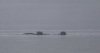 rsz_20231022-4s1a9234-edit.jpg