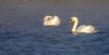 rsz_20231022-4s1a9456-edit.jpg