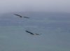 rsz_20231028-4s1a9833-edit.jpg