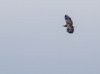 rsz_20231028-4s1a9819-edit.jpg