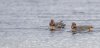 rsz_20231028-4s1a9674-edit.jpg