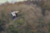 rsz_20231028-4s1a9853-edit.jpg