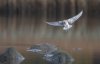 rsz_20231029-4s1a0230-edit.jpg