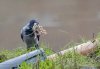 rsz_20231029-4s1a0193-edit.jpg