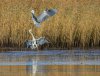 rsz_20231103-4s1a0845-edit.jpg