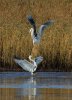 rsz_20231103-4s1a0847-edit.jpg