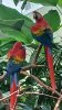 upload_2025-4-12_15-55-18.jpeg