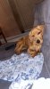 IMG_0358.jpeg