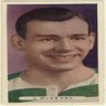 CeltBee