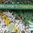 Dannybhoycfc88